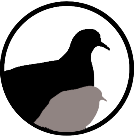 DovePigeonGuide